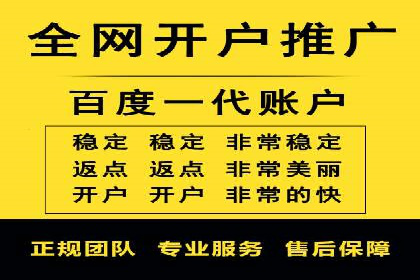 百度推广全攻略：成功案例剖析